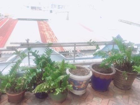 CHO THUÊ NGUYÊN CĂN 3PN, NGAY HXH PHAN HUY ÍCH, GV. GIÁ 8TR/THÁNG