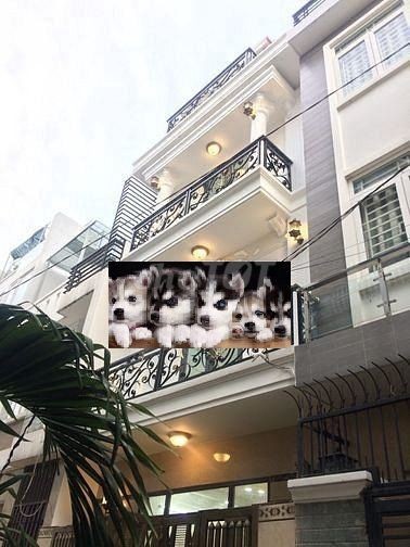 Nhà cho thuê xinh lung linh, đầy đủ nội thất, mới tinh 100% Ngay Đặng Văn Bi Thủ Đức ( nhà đẹp như hình)