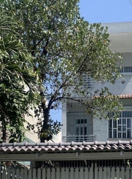 Nhà cho thuê mặt đường lớn nhà cách đường Đỗ Xuân Hợp chỉ 500m. Diện tích sử dụng nhà 320m2