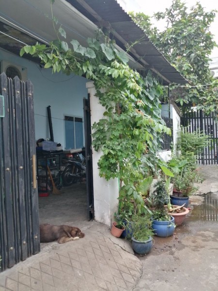 Nhà cho thuê nguyên căn 75m2 tại đường Nam Hòa p. Phước Long B quận 9. 7 triệu/tháng có sẵn máy lạnh