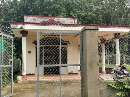 Nhà cấp 4 nguyên căn 200m2 cho thuê tại Phước Vĩnh An huyện Củ Chi sân hè rộng rãi