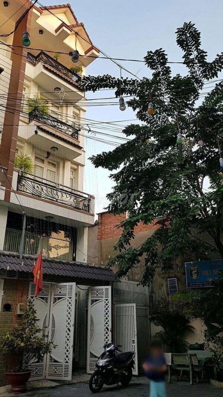 Nhà nguyên căn tại đường Nguyễn Minh Hoàng mới tinh, kiến trúc siêu đẹp, Dtsd 380m2