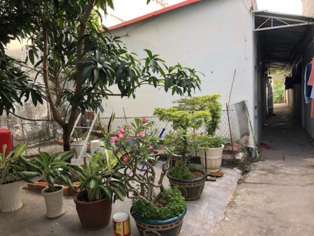Cho thuê nhà trọ giá rẻ ở trung tâm TP. Bạc Liêu, 15m2, 1 phòng ngủ, 1 toilet