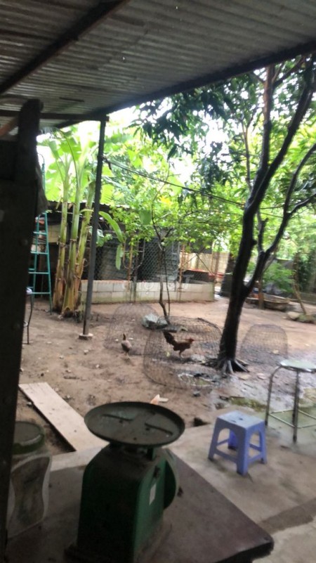 Trống nhà 2 mặt tiền huyện Hóc Môn cần cho thuê giá 6 triệu/tháng, dt 180m2, lh 0767146998