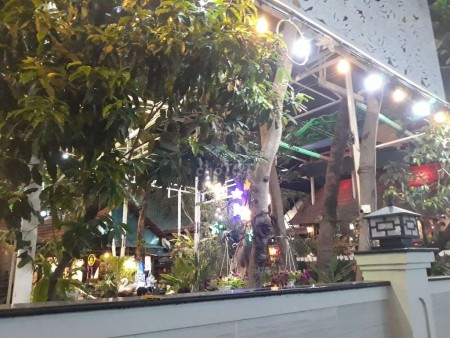 Nhà nguyên căn 300m2 có sân vườn cần cho thuê giá 7.5 triệu/tháng, hẻm Lê Thị Lơ, Hóc Môn