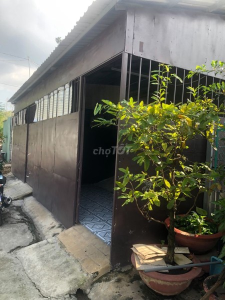 Đường Bình Trưng, Quận 2 cần cho thuê nhà rộng 75m2, cấp 4, giá 5 triệu/tháng