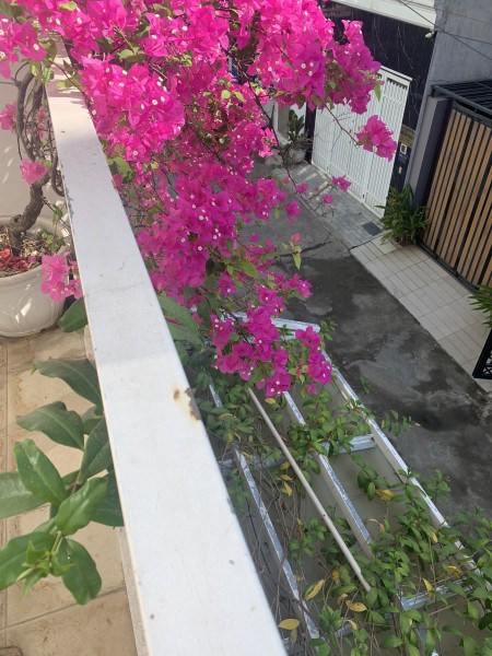 Đi đến slide 0