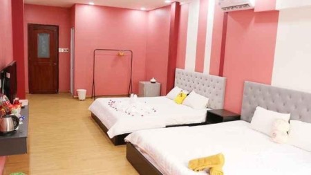 Nhà mặt tiền CHDV Phó Đức Chính, P. Nguyễn Thái Bình Q1