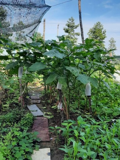 Đi đến slide 8