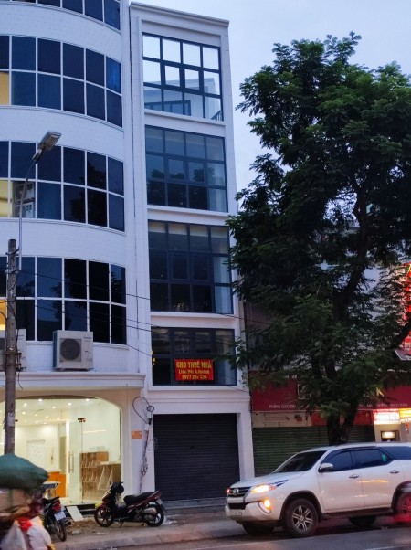 Cho thuê nhà ngang LỚN 4,5m Đường Nguyễn Cư Trinh, Q1, 360m2 chỉ 72 triệu