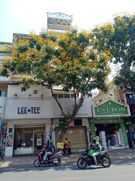 Cho thuê nhà NGANG LỚN 4.5m Lê Văn Sỹ, thang máy giá chỉ 70 triệu