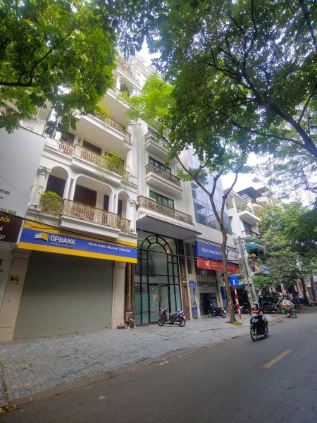 Cho Thuê Nhà Mặt Phố Võ Văn Dũng, Phường Ô Chợ Dừa, Đống Đa, Hà Nội