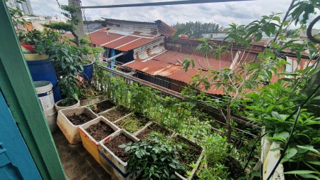 Đi đến slide 11
