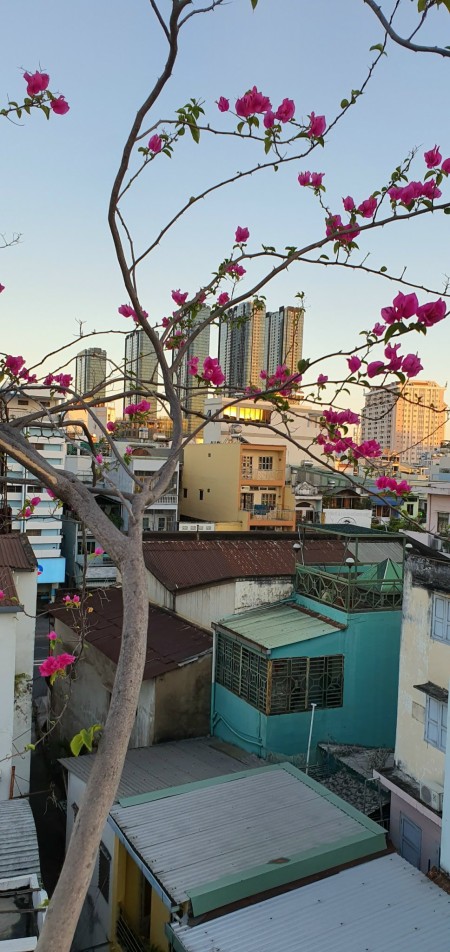 Đi đến slide 8