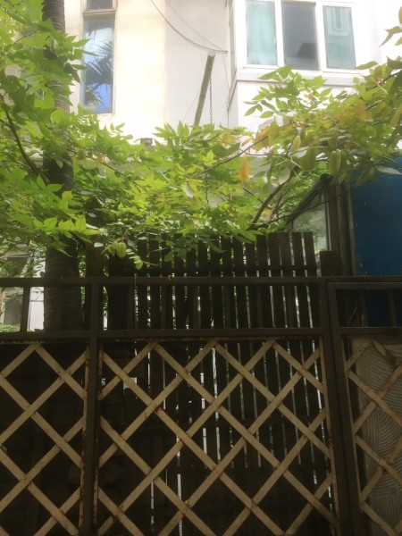 Đi đến slide 8