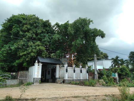 Nhà nguyên căn cho thuê diện tích vô cùng rộng tại Biên Hòa