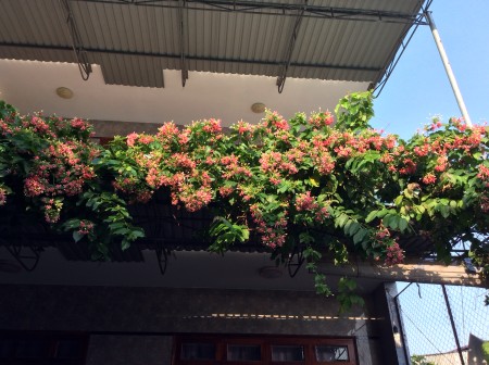 Cho thuê nhà riêng nguyên căn tại khu KCN Phú Mỹ, 250m2, 5 phòng ngủ, 5 toilet