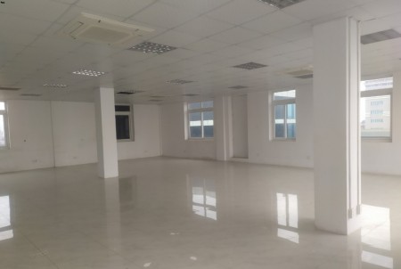Nhà nguyên căn Lũy Bán Bích 15x33m cho thuê 150 triệu/tháng, cực khang trang