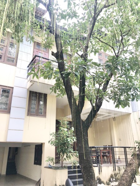 Cho thuê biệt thự 600m2, 7pn ngay lotte Mart Quận 7 giá rẻ 35 triệu/tháng