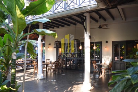 Biệt Thự Sân Vườn Thảo Điền 1000m2 - Kinh Doanh Tự Do, Cho Cải Tạo