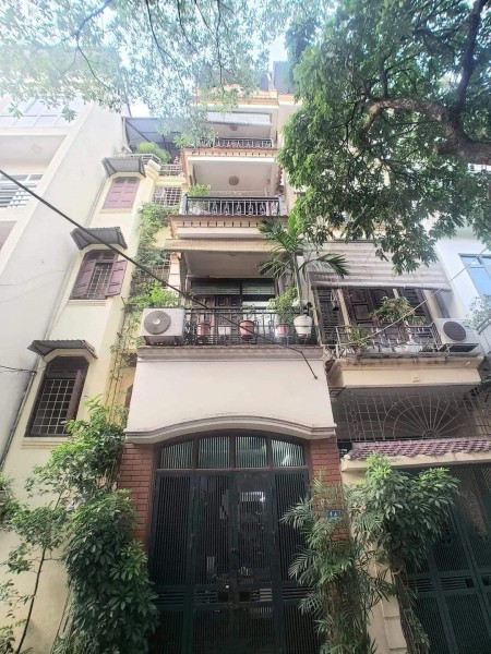 Chính chủ cho thuê nhà! vừa ở vừa kinh doanh, văn phòng, studio,...