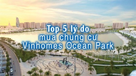 Top 5 lý do mua chung cư Vinhomes Ocean Park để đầu tư