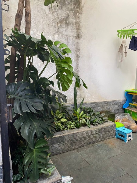 Cho thuê nhà nguyên căn dt 3.5*18 - DTSD 170m2 (19tr/tháng-Còn TL) - 1trệt- 2 lầu - sân thượng