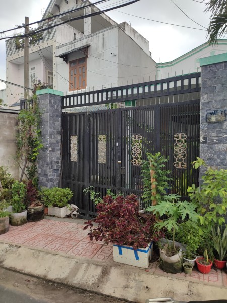 Cho thuê nhà nguyên căn 156m2 mặt tiền đường nhựa 10m Tân Hiệp 31- Hóc Môn, 156m2, 3 phòng ngủ, 2 toilet