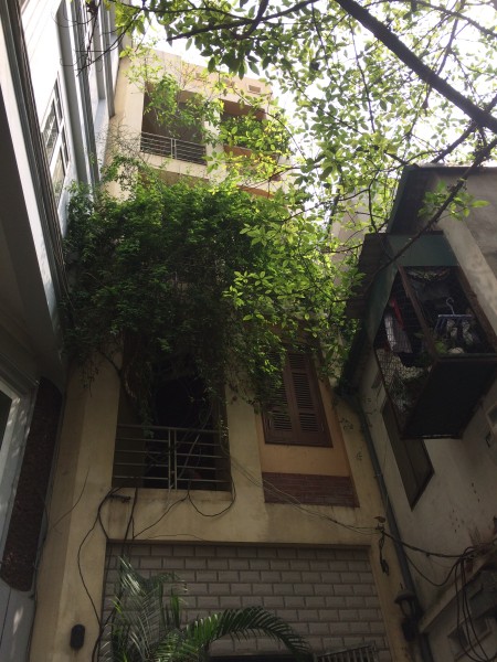 Cho thuê nhà riêng chính chủ 4 tầngx53m2 mặt tiền đẹp ô tô vào được ở Doãn Kế Thiện–Mai Dịch-CG-HN