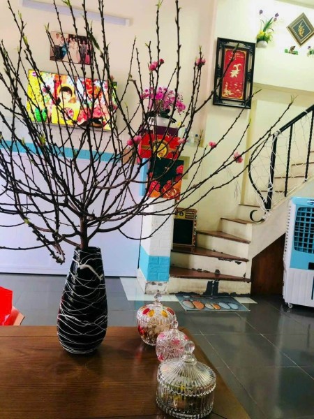 Cho thuê nhà nguyên căn hẻm xe hơi 115 Phạm Hữu Lầu, Phường Phú Mỹ, Quận 7