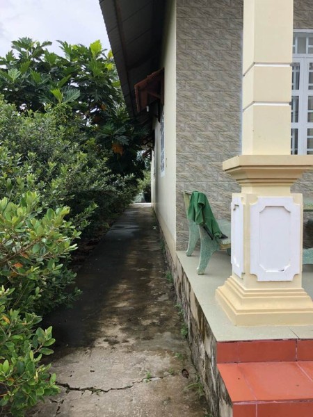 Thuê Nhà Nguyên Căn 100m2 - 2 phòng ngủ + 1 phòng khách + 1 bếp + 1 nhà vệ sinh, 100m2, 2 phòng ngủ, 1 toilet