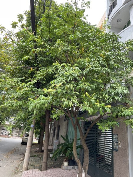 Đi đến slide 14