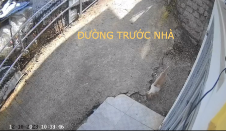 Đi đến slide 0