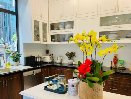 Cho thuê nhà phố 6x20m nội thất đẹp, cạnh công viên, khu Lakeview City