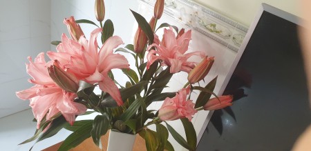 Cho thuê nhà hẻm xe tải, gần Gigamall, bách hóa xanh