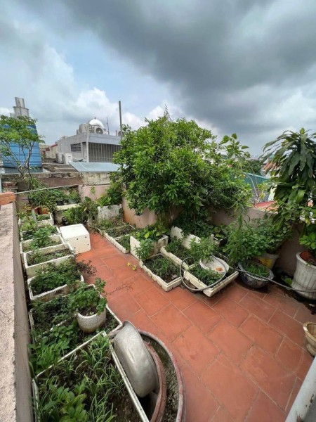 Đi đến slide 5