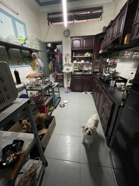 Cho thuê nhà 103 Nguyễn Tiểu La, diện Tích 4.4x12, kết cấu trệt lầu 3 pn, giá 15tr