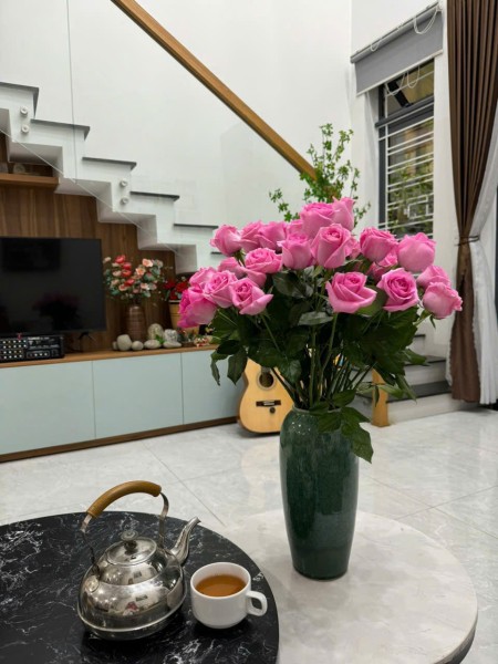 Cho thuê nhà riêng 3 phòng ngủ, đường Hói Kiểng 17, Hoà Quý, Đà Nẵng