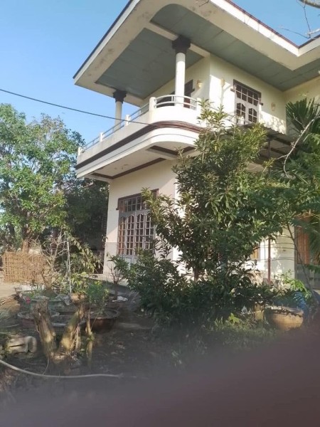 Cho thuê nhà nguyên căn 2 tầng - Sân vườn thoáng mát - Giá siêu rẻ