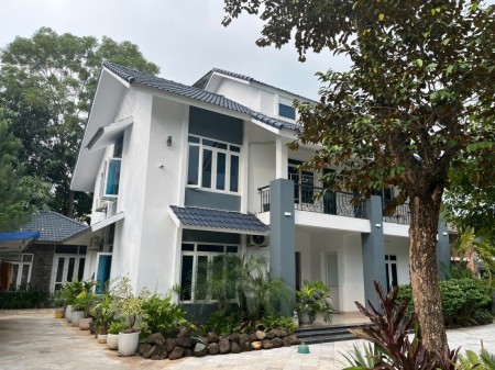 Cho thuê biệt thự nguyên căn 6 phòng ngủ – full nội thất
