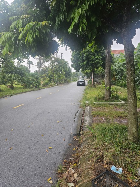 Bán nhanh lô đất 90m2, vị trí đẹp tại Phường Nhị Châu, TP Hải Dương.