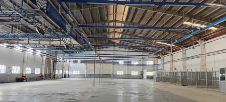 Cho thuê kho xưởng trong KCN Cát Lái Quận 2, PCCC tự động, giấy phép đầy đủ