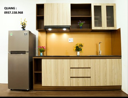 Chính chủ cho thuê nhà 4x18m Full nội thất cao cấp, hẻm xe hơi đường Phạm Hùng Q8 không ngập nước