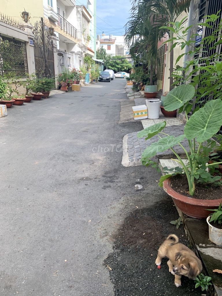 Khu Cityland cần cho thuê nhà rộng 55m2, giá 8 triệu/tháng, tiện ích đủ, lh 0907276304