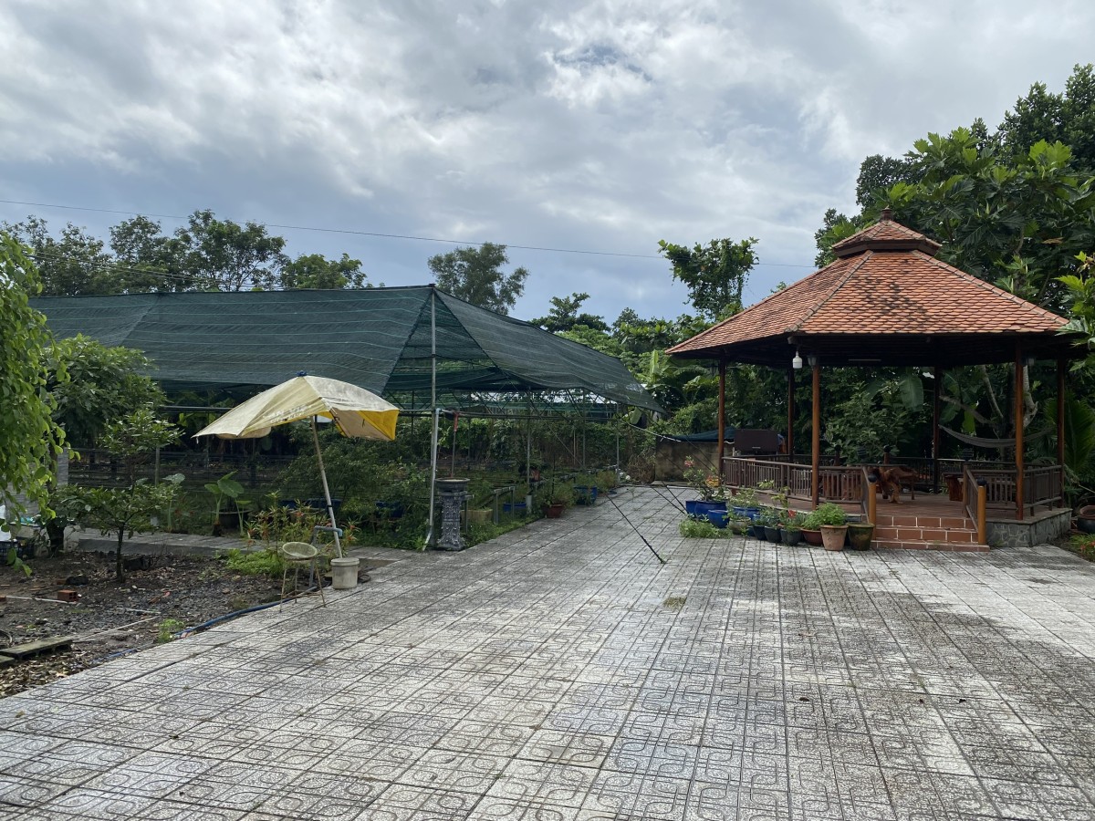 Chính chủ cho thuê nhà vườn giá rẻ, tại xã Phạm Văn Cội Củ Chi