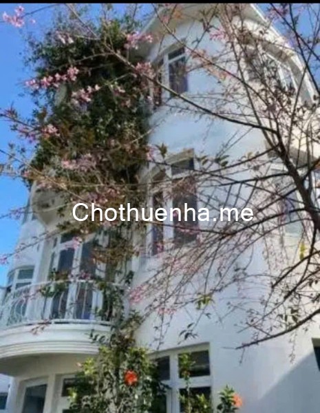 Cho thuê villa cao cấp Đà Lạt, Lâm Viên – View thông, nhà lồng, thang máy, đón xe 45 chỗ – Giá 30 tr