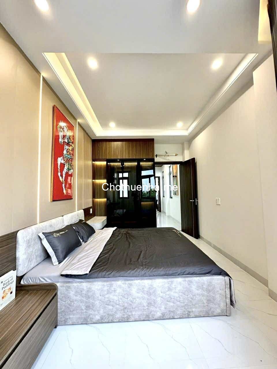 Cho thuê nhà nguyên căn mới 100% đường Phạm Hữu Lầu - Full nội thất cao cấp