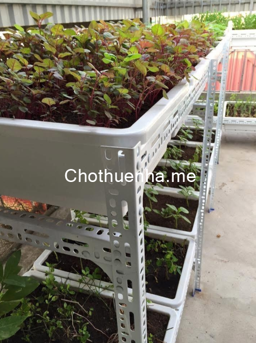 Cho thuê nhà ngõ 3 Hoàng Quốc Việt, 5 tầng x 40m2, 5 ngủ, 4 vệ sinh, 15 Triệu