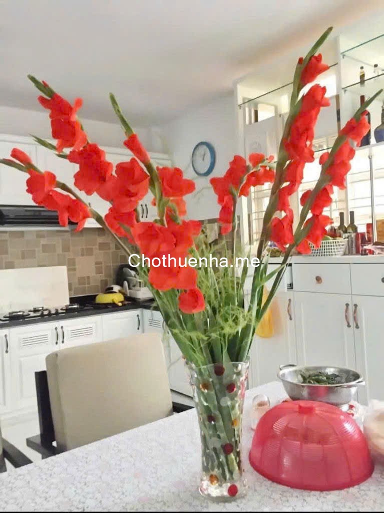 Cho thuê nhà nguyên căn – D4 Phú Mỹ, Q7 (Full nội thất Châu Âu)