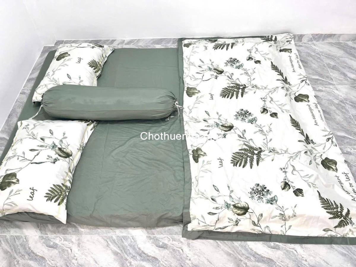 Cho Thuê Nhà Nguyên Căn Trệt, Lửng, Đường Số - Cát Lái - Q2